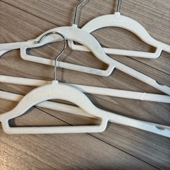 ノンスリップハンガー16本おまけ付きの画像