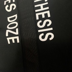 レディーストレーナー(大きいサイズ)
の画像