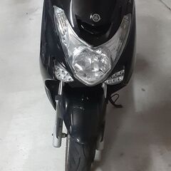マジェスティS  　値引きあり