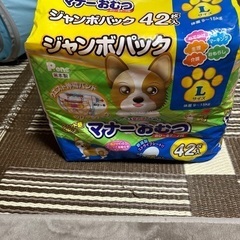 犬用オムツ