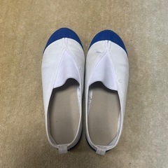 体育館シューズ21.0cm