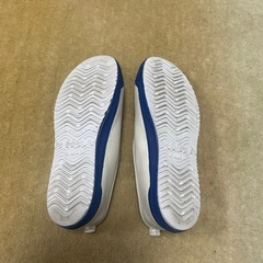 体育館シューズ21.0cmの画像