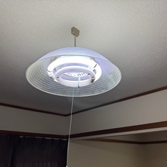 引っ張り紐付きシーリングライト 500円 ※引き取り限定の画像