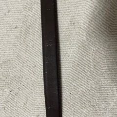 セリーヌのベルトの画像
