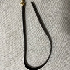 セリーヌのベルトの画像
