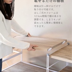 ラック（高さ調節可能）の画像