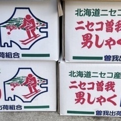 本日入荷したて品✨ニセコ産🥔じゃがいも10キロ1箱価格