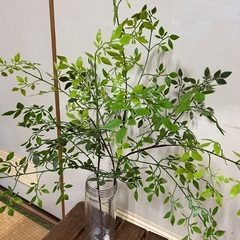 フェイクグリーン　110㌢96㌢　の画像