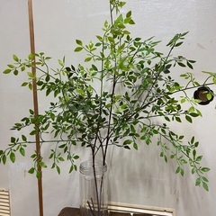 フェイクグリーン　110㌢96㌢　の画像