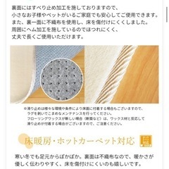 ラグ100x140の画像
