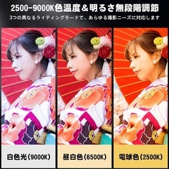 PEYOU LEDライト 2000mAh バッテリー内蔵の画像