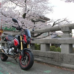 ホンダ　グロム　カスタム車　の画像