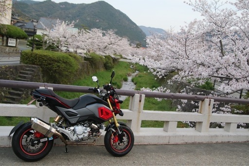 ホンダ　グロム　カスタム車