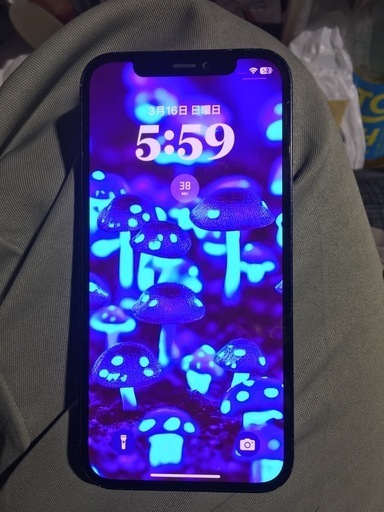 本日限定価格！iPhone12 docomo　64G