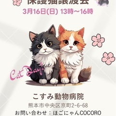 🌸🌷可愛い保護ねこ譲渡会🌸🌷