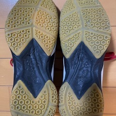 バドミントンシューズ
の画像