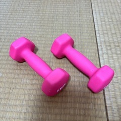 ダンベル 2kg 2本セット 