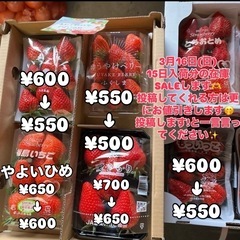 🍓一斉SALE開催⭐︎全国各地の甘くて美味しい苺🍓¥500〜色ん...