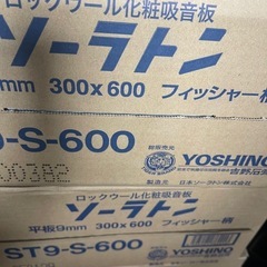 ソーラトン✖️9
の画像