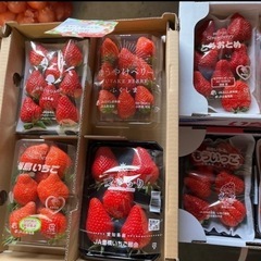 🍓ゆうやけベリーその他一斉SALE開催します🫶全国各地の美味しい...