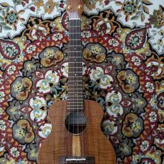 Kakumae  ukulele