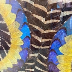 昭和レトロ　ブラジル🇧🇷工芸品の画像