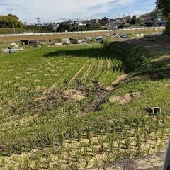 ２反有り。米作り・畑に最適！名神高速降り場近く。近鉄佐味田川駅近陽当たり良好。 - 北葛城郡