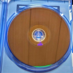 ワイルドハーツ　PS5の画像