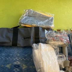 シャークスチームポータブルクリーナー美品の画像