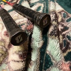 バトミントンの画像