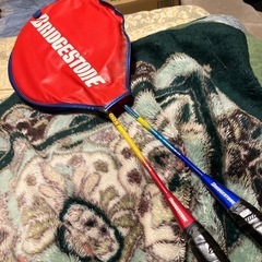 バトミントンの画像