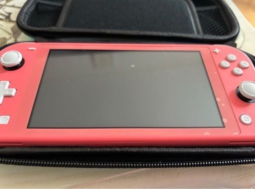 その他 Nintendo Switch light
