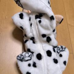 犬　ティシュケース　いぬの画像