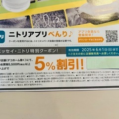 【ニトリ】特別クーポン 5%割引券