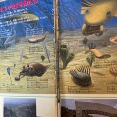 恐竜図鑑　除籍図書の画像