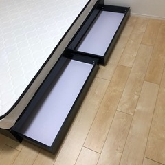 ダブルベット　　早い者勝ちですの画像