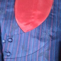 和のコート①の画像