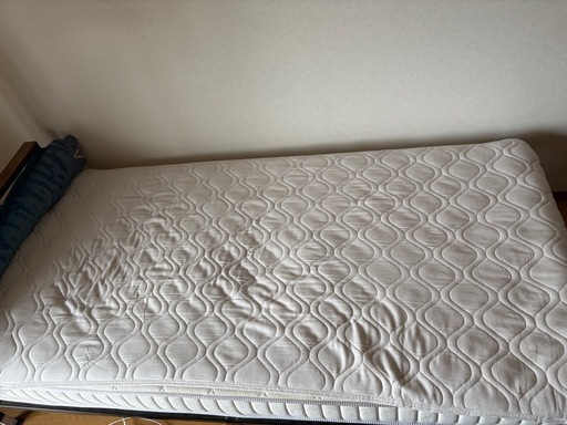 ベット