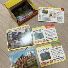 取引中✴︎ダイソー　ものしりカード　きょうりゅうの画像