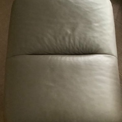 エコーネス　マジック　Mサイズ　オットマン付き