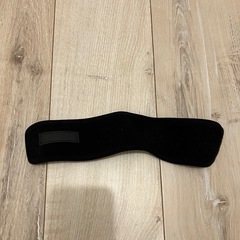 ファイテン　リストバンドの画像