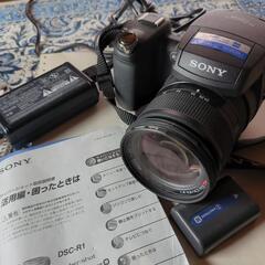 SONY　DSC-R1の画像