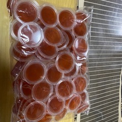 お譲り先決まりました　昆虫用ヒーターとご飯