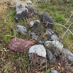 庭石　欲しい方どうぞの画像