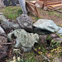 庭石　欲しい方どうぞ