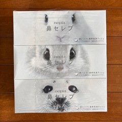 鼻セレブ