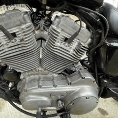 XL883 　ハーレー　スポーツスター    の画像