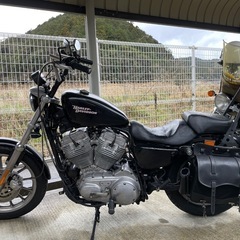 XL883 　ハーレー　スポーツスター    の画像