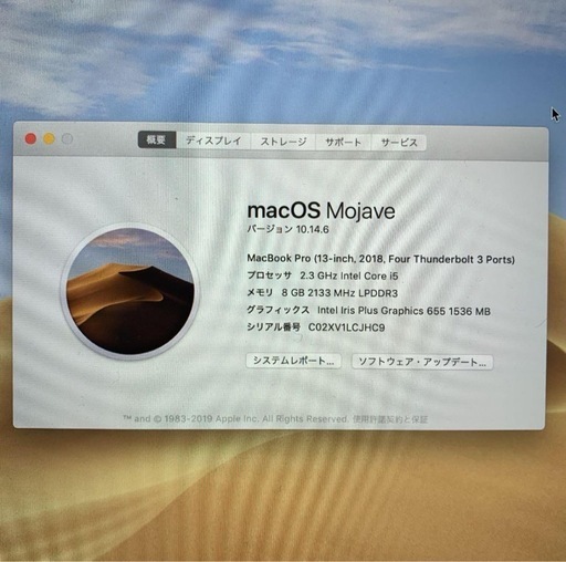 弦楽器、ギター APPLE MacBookPro MACBOOK PRO MR9R2J/A
