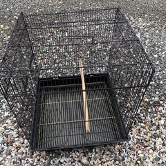 とりかごの画像